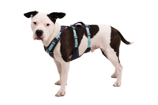 Ruffwear Flagline Harness, inovativ hundsele i flera färger - Bild 30
