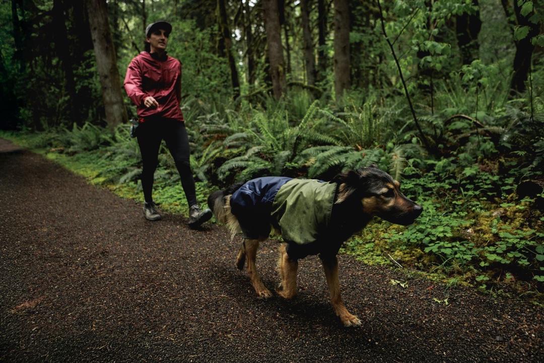 Vattentät Hundoverall - Sun Shower™ Coverall - Bild 4