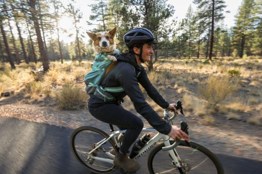 Hitch-Hiker-Backpack