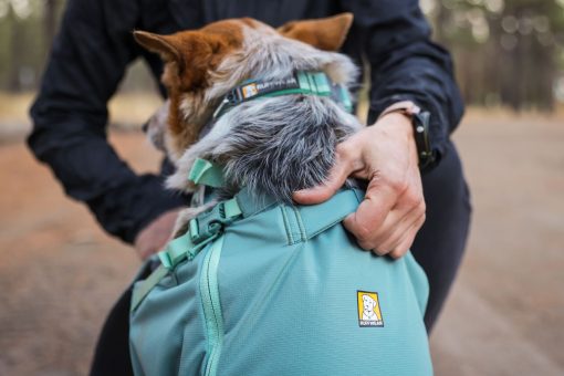 Hitch-Hiker-Backpack