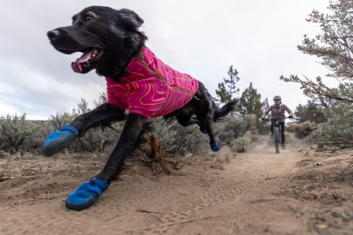 Ruffwear Hi & Light™ Trail Shoes – lätta, flexibla hundskor - Bild 5