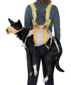 Backtrak-Evacuation-Kit_Cloudburst-Gray